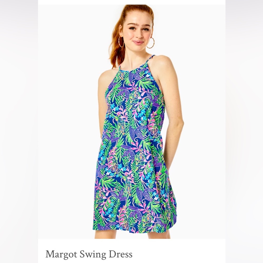 NWT Margot Swing Dress, Small